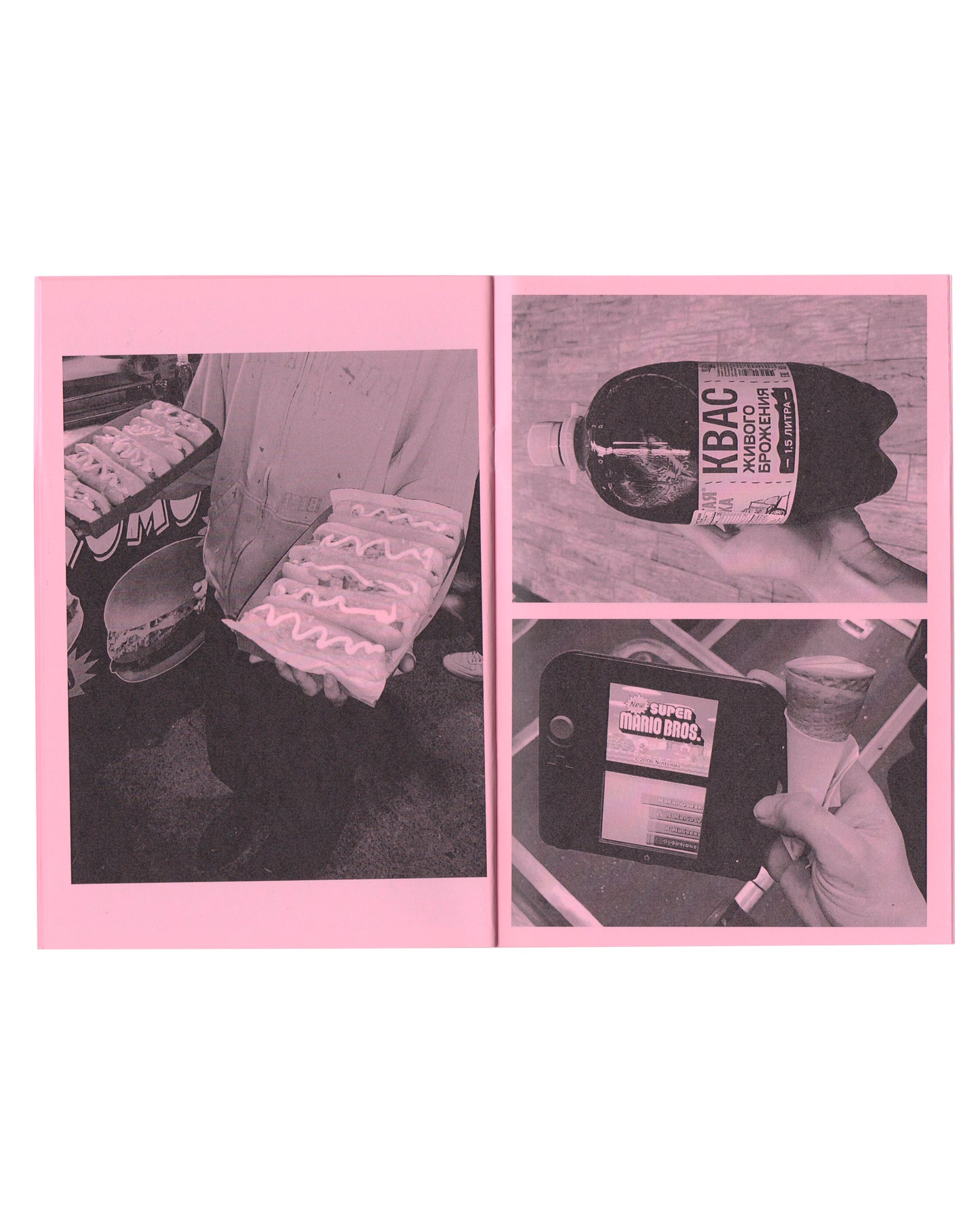 ARE YOU LOOKING FOR A MEAL? ZINE